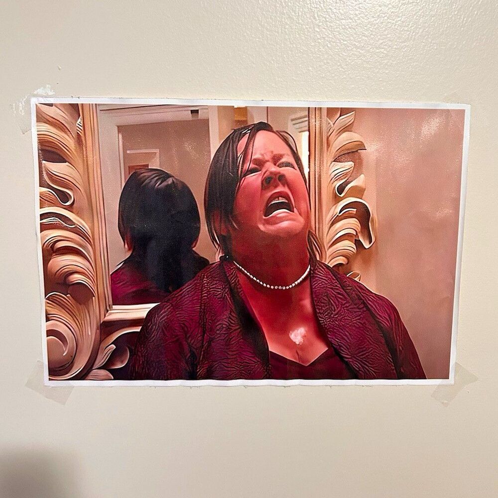 Melissa McCarthy Cloth poster picture
